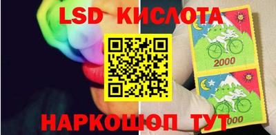 ГАЛЛЮЦИНОГЕННЫЕ ГРИБЫ Заволжье
