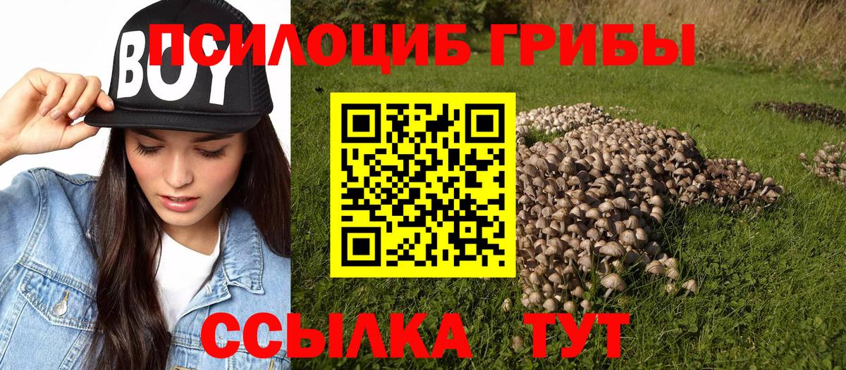 Галлюциногенные грибы ЛСД Мценск